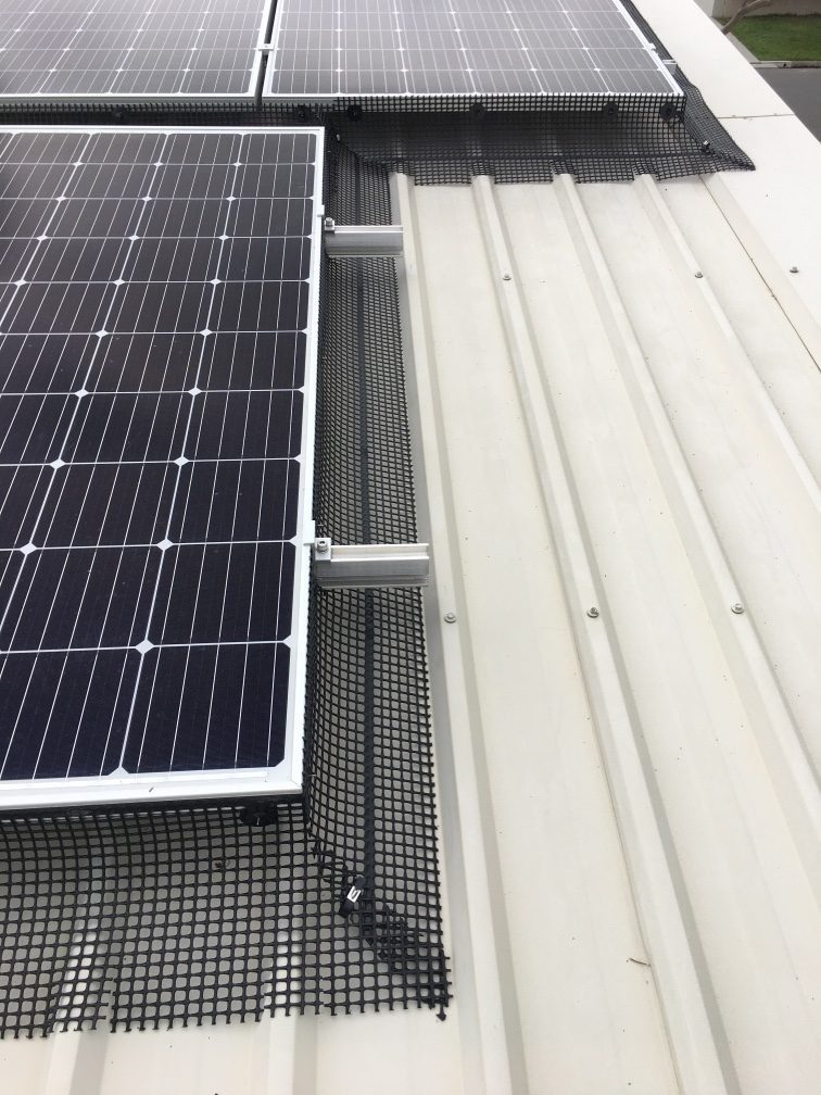 PRO-30m Plastic Pigeon Proofing Kit (100 Fasteners)