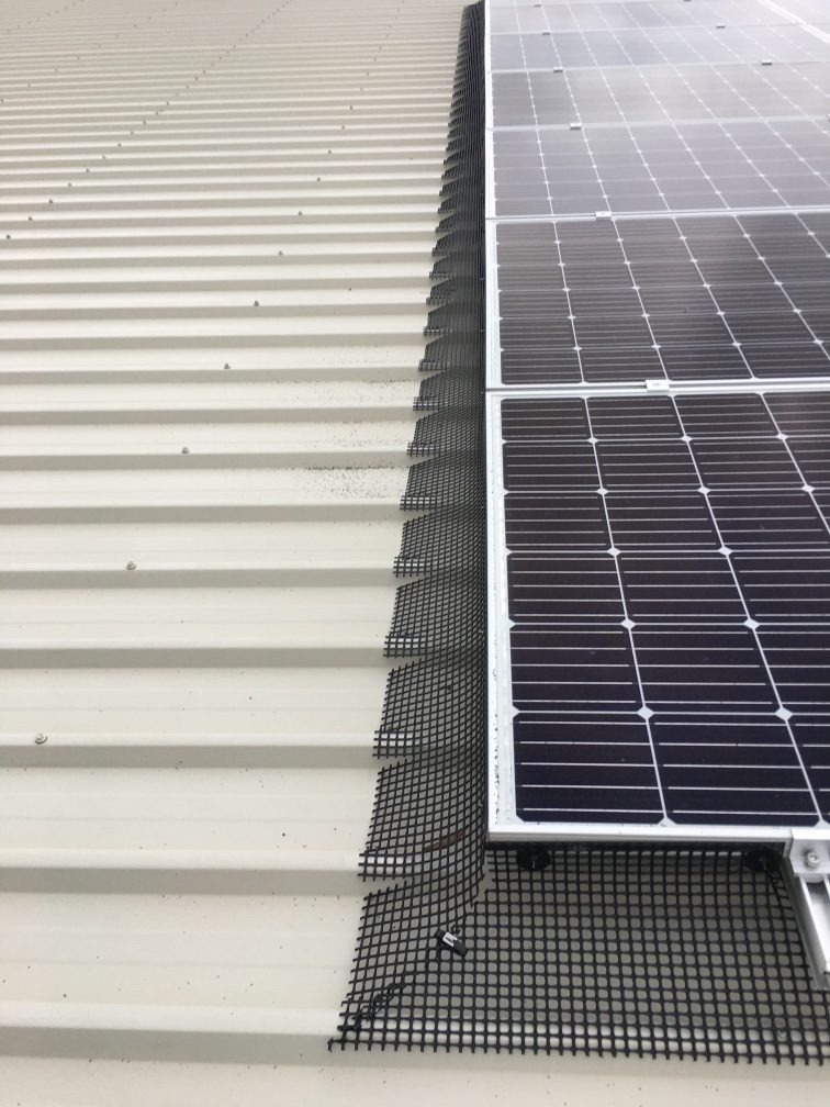 PRO-30m Plastic Pigeon Proofing Kit (100 Fasteners)